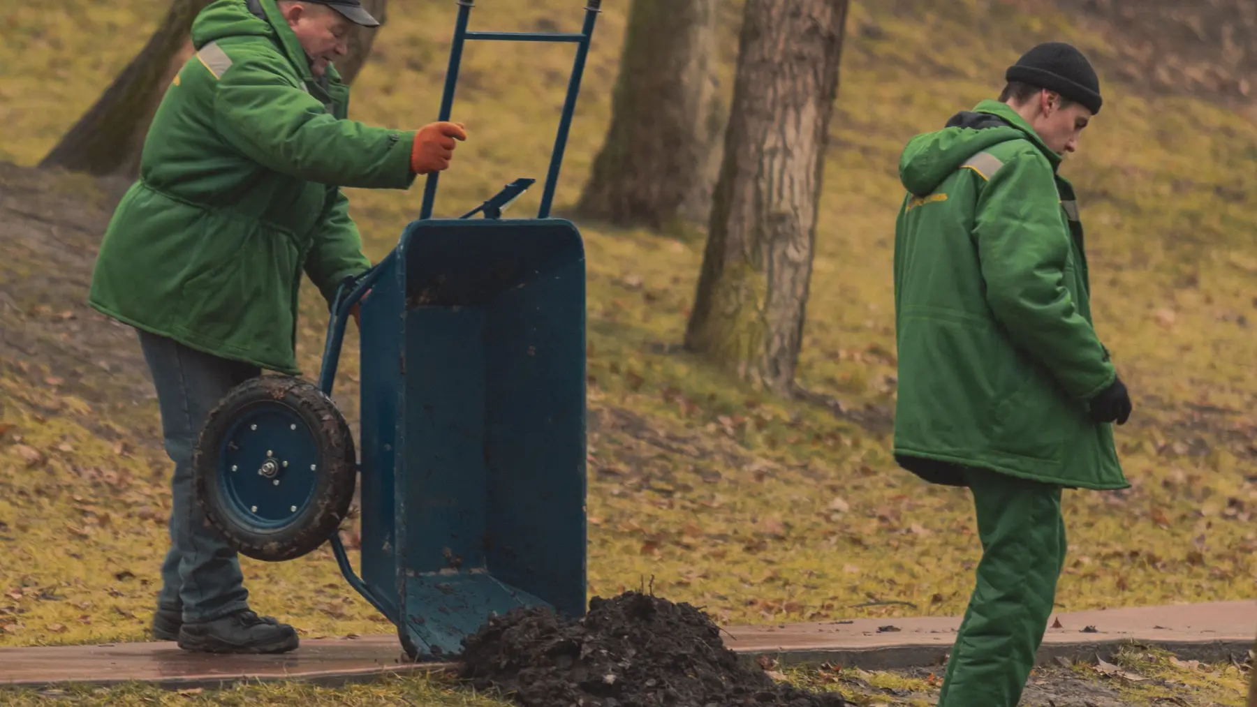 Zwei Mitarbeiter im Garten- und Landschaftsbau arbeiten gemeinsam mit einer Schubkarre